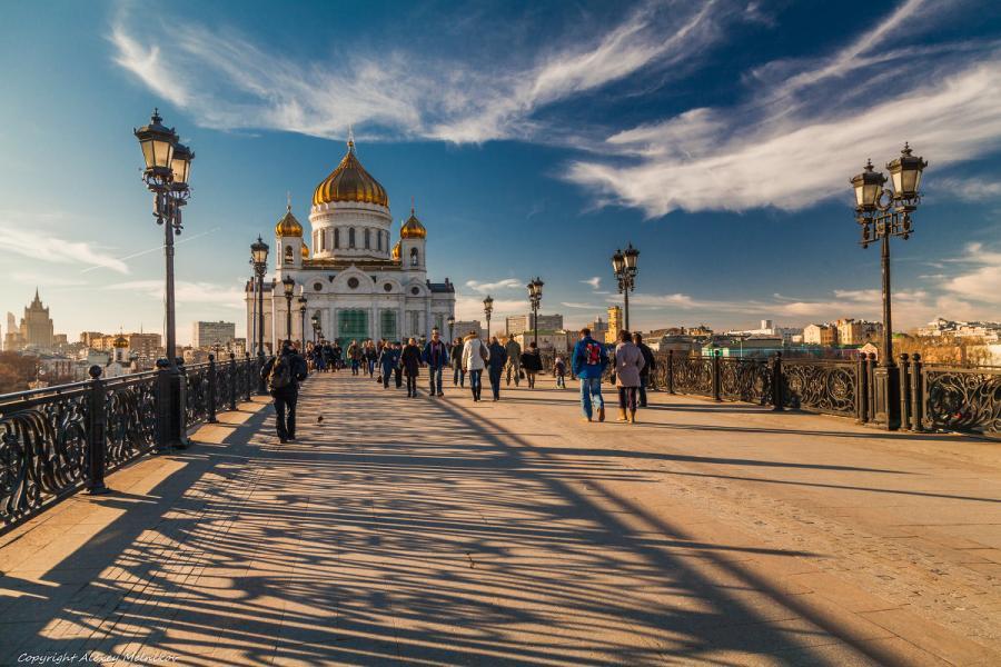 Флокс москва златоглавая фото и описание