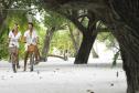 Тур Gili Lankanfushi Maldives -  Фото 6