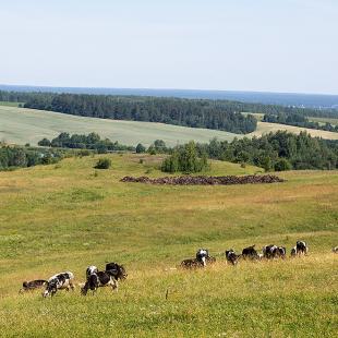 Коттедж "Калі на хутар" в Молодечненском районе