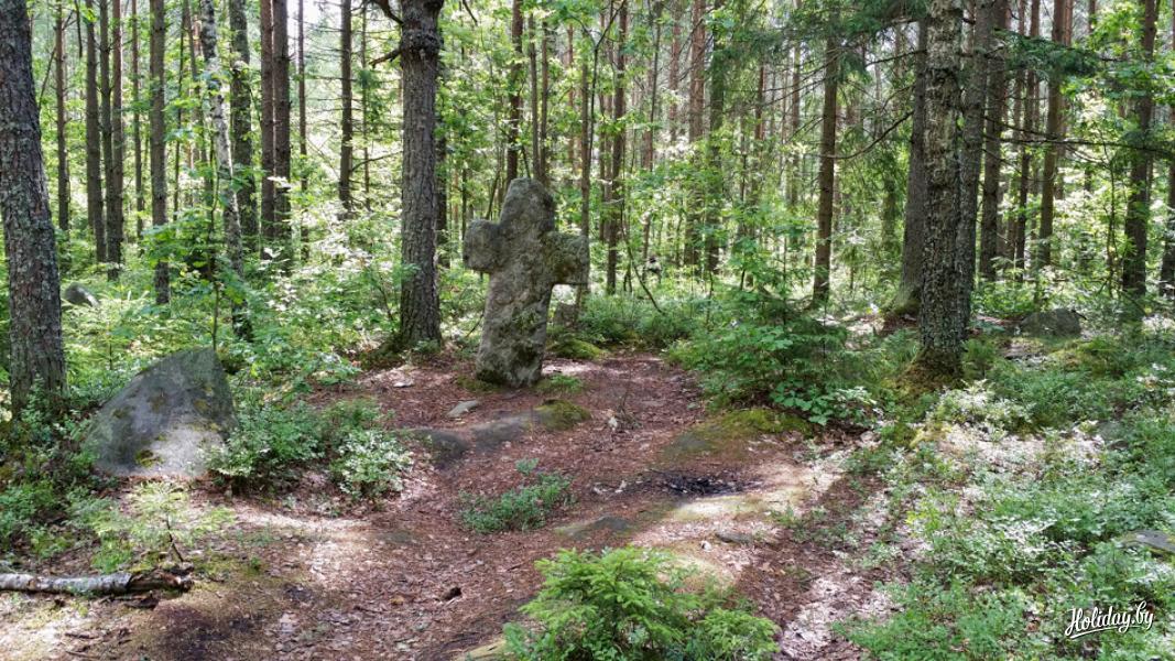 Деревня кресты калужская область