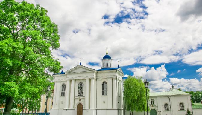 Беловежская пуща беларусь фото