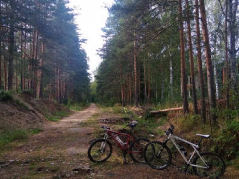 Фото велопрогулки на природе