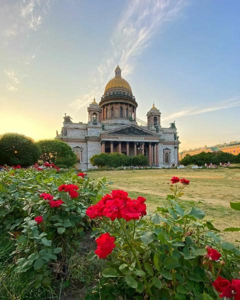 Питер за 6 дней план самостоятельных экскурсий