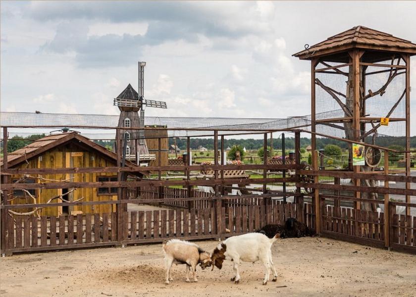 Фото диприз барановичи