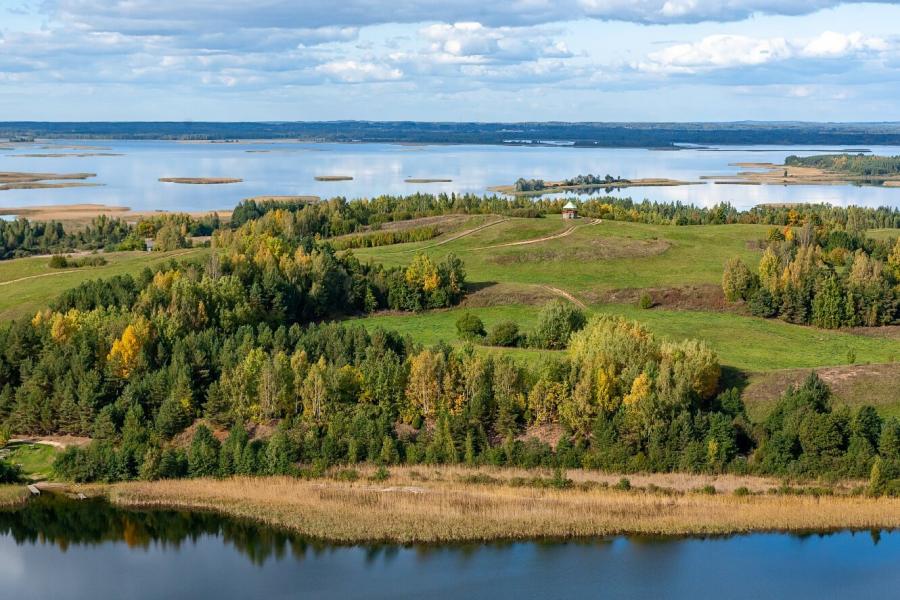 Вива браслав фото