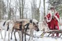 Тур Рождество и Новый год в сказочной Карелии -  Фото 4